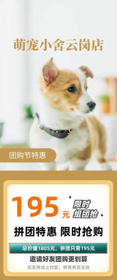 宠物店拼团价格阶梯团团购节活动配图海报