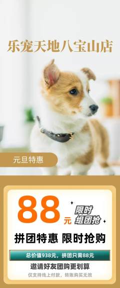宠物店拼团价格阶梯团元旦活动配图海报