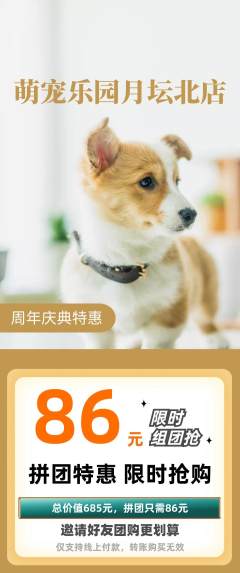 宠物店拼团价格阶梯团周年庆典活动配图海报