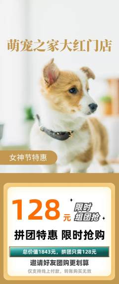 宠物店拼团商品阶梯团女神节活动配图海报