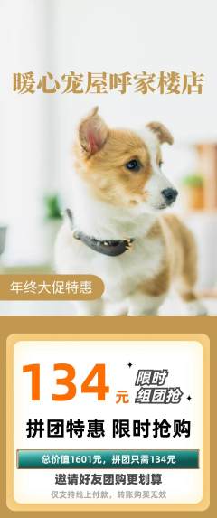 宠物店拼团商品阶梯团年终大促活动配图海报