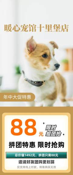 宠物店拼团商品阶梯团年中大促活动配图海报