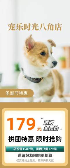 宠物店拼团商品阶梯团圣诞节活动配图海报
