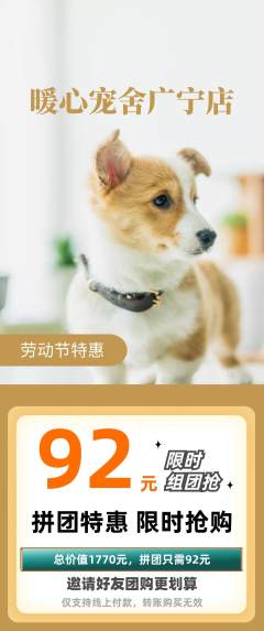 宠物店拼团商品阶梯团劳动节活动配图海报