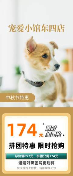 宠物店拼团商品阶梯团中秋节活动配图海报