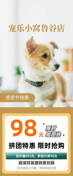 宠物店拼团无阶梯团感恩节活动配图海报