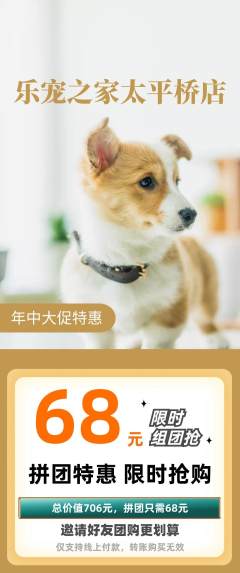 宠物店拼团无阶梯团年中大促活动配图海报