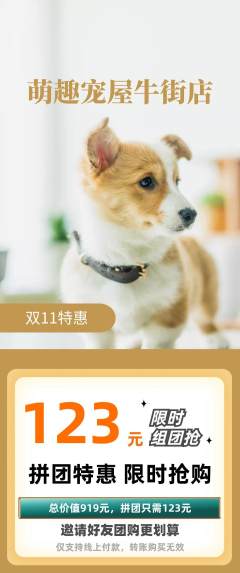 宠物店拼团无阶梯团双11活动配图海报