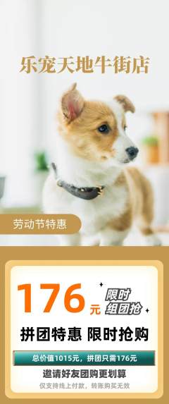 宠物店拼团无阶梯团劳动节活动配图海报
