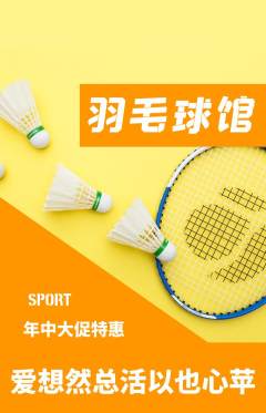 羽毛球馆抢购多单品抢购年中大促活动配图海报