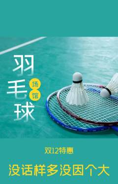 羽毛球馆抢购多单品抢购双12活动配图海报