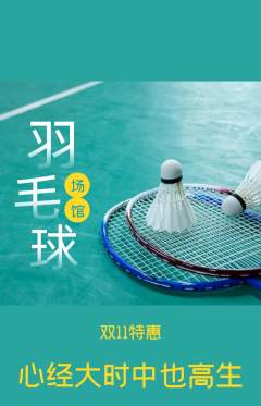 羽毛球馆抢购多单品抢购双11活动配图海报