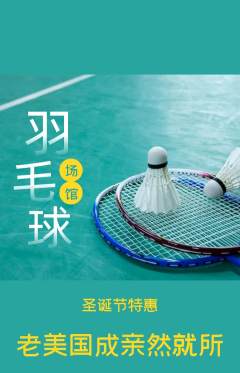 羽毛球馆抢购单品抢购圣诞节活动配图海报
