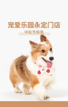 宠物店抢购满血版中秋节活动配图海报