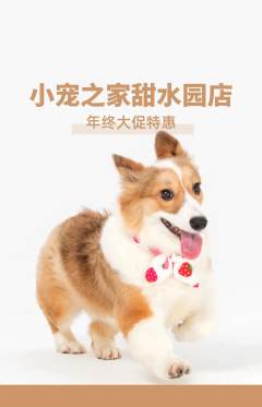 宠物店抢购多单品抢购年终大促活动配图海报