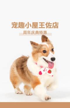 宠物店抢购多单品抢购周年庆典活动配图海报