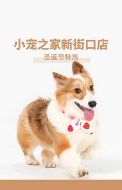 宠物店抢购单品抢购圣诞节活动配图海报