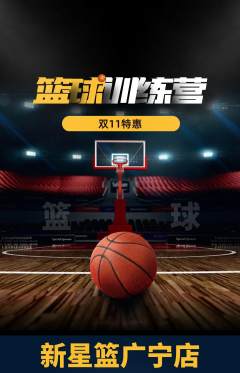 篮球馆抢购单品抢购双11活动配图海报