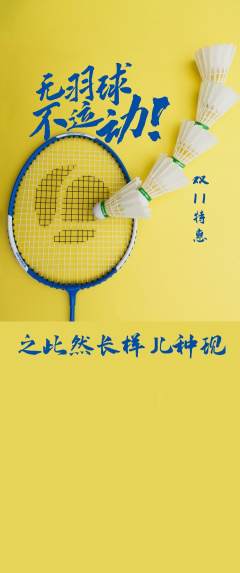 羽毛球馆抢购套组抢购双11活动配图海报