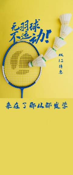 羽毛球馆抢购单品抢购双12活动配图海报