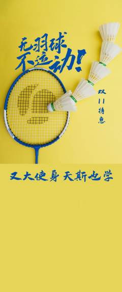 羽毛球馆抢购单品抢购双11活动配图海报