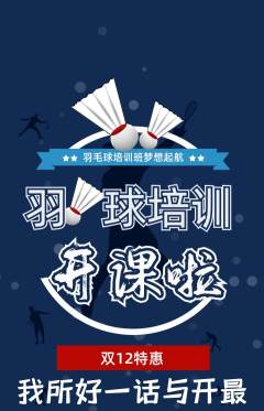 羽毛球馆抢购套组抢购双12活动配图海报