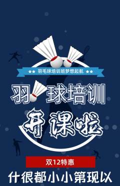 羽毛球馆抢购单品抢购双12活动配图海报