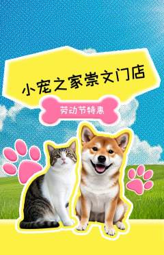 宠物店抢购单品抢购劳动节活动配图海报