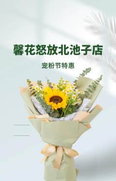 鲜花店抢购单品抢购宠粉节活动配图海报
