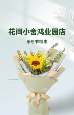 鲜花店抢购单品抢购感恩节活动配图海报
