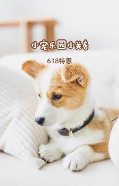 宠物店抢购满血版618活动配图海报