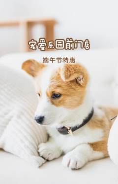 宠物店抢购满血版端午节活动配图海报
