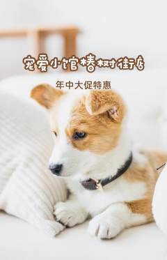 宠物店抢购满血版年中大促活动配图海报