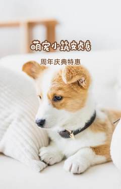 宠物店抢购满血版周年庆典活动配图海报