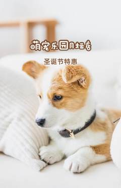 宠物店抢购多单品抢购圣诞节活动配图海报