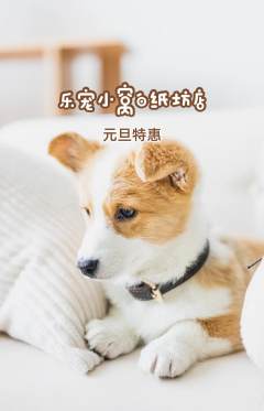 宠物店抢购多单品抢购元旦活动配图海报