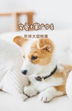 宠物店抢购套组抢购年终大促活动配图海报