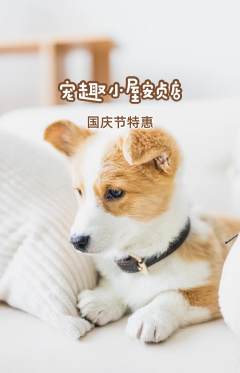 宠物店抢购自选套组抢购国庆节活动配图海报