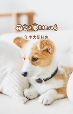 宠物店抢购自选套组抢购年中大促活动配图海报
