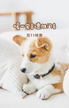 宠物店抢购自选套组抢购双11活动配图海报