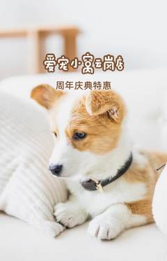 宠物店抢购自选套组抢购周年庆典活动配图海报
