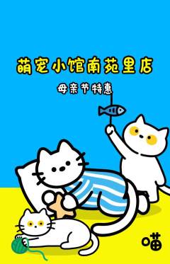 宠物店抢购自选套组抢购母亲节活动配图海报