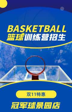 篮球馆抢购多单品抢购双11活动配图海报