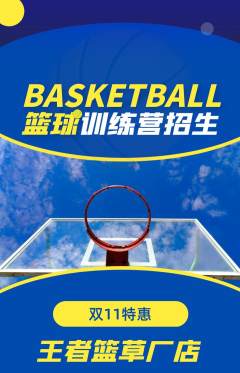 篮球馆抢购单品抢购双11活动配图海报
