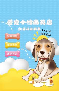 宠物店抢购多单品抢购新店开业活动配图海报
