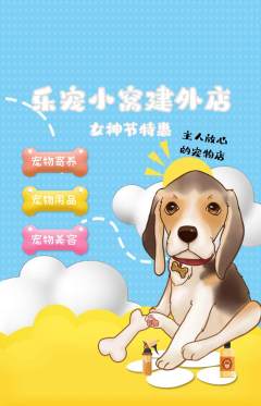 宠物店抢购套组抢购女神节活动配图海报