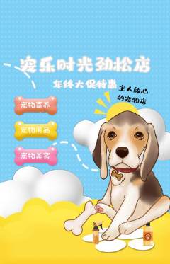 宠物店抢购套组抢购年终大促活动配图海报