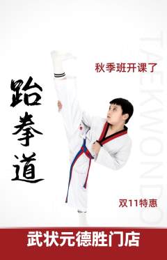 跆拳道抢购单品抢购双11活动配图海报