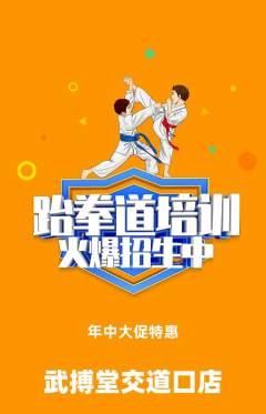 跆拳道抢购多单品抢购年中大促活动配图海报