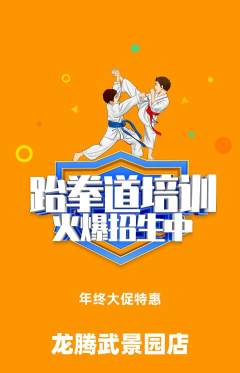 跆拳道抢购单品抢购年终大促活动配图海报